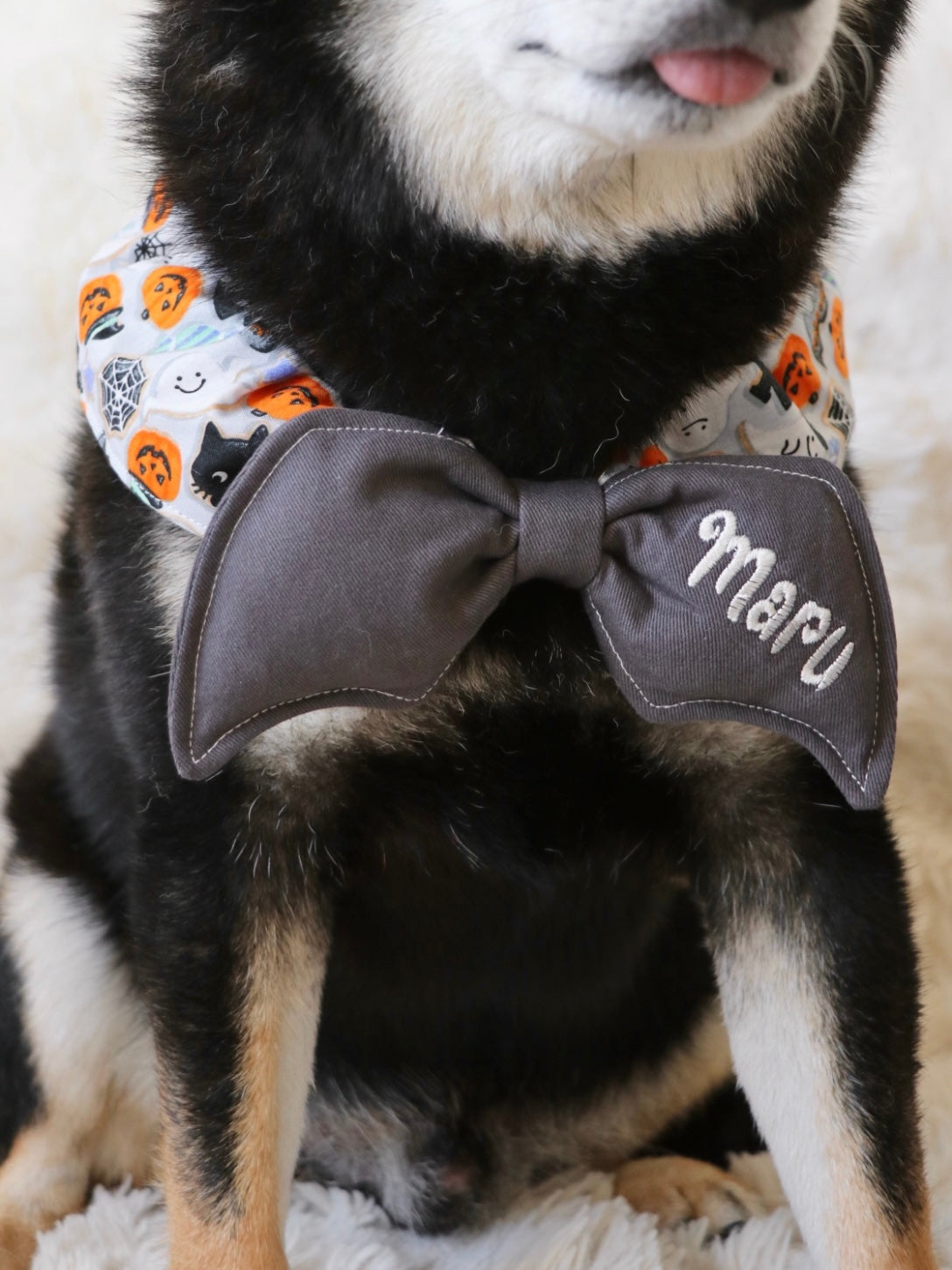 Halloween batwing collar - black & gray