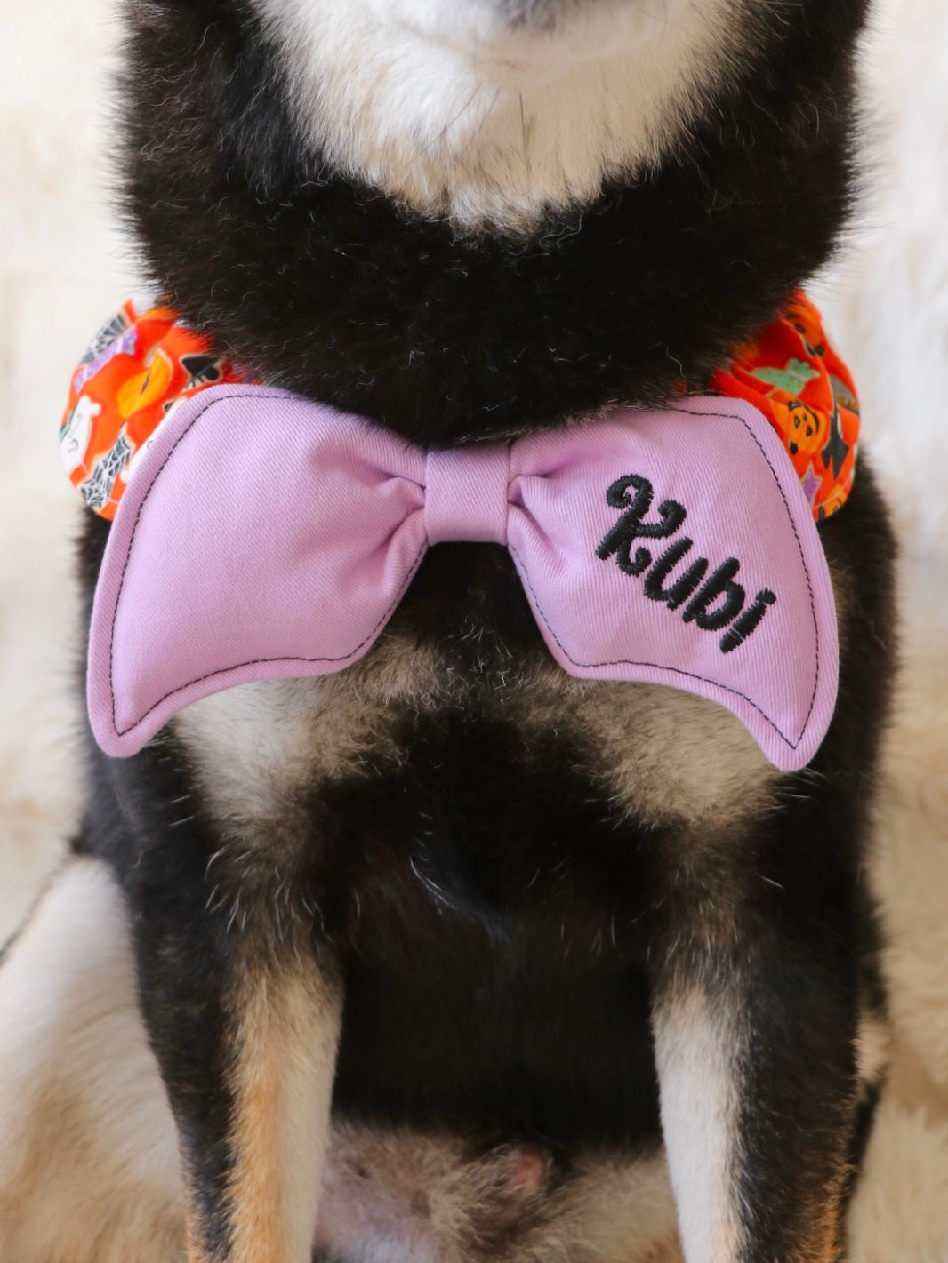 Halloween batwing collar - orange & purple